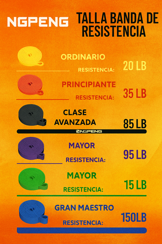 Bandas de Resistencia ProLoop